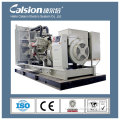 Professional manufacturer calsion 900kva diesel generator set